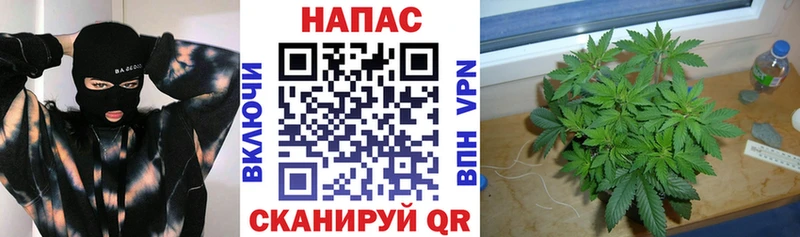 Бошки марихуана Ganja  Монино 